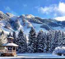 Аспен ски курорт САЩ: преглед, постижения и прегледи на туристите