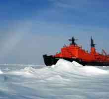 Атомният ледоразбивач "Арктика": описание и снимка. Съвременни ледоразбивачи от класа…