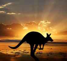 Австралия, интересни факти - най-високите планини, най-голямата река и най-опасните животни в…