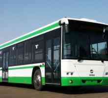 Автобус GOLAZ 5251, 6228: спецификации и снимки