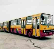Iqarus-293 ​​автобус: спецификации и снимки