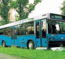 Автобус MAZ 103, 105, 107, 256: спецификации на моделите