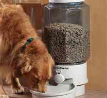 Автоматични хранилки за кучета: характеристики на устройството и работа. Как да си направите…