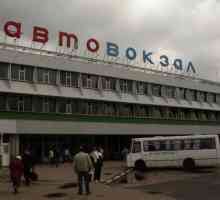 Автогара "Шчелково" е единствената автогара в Москва