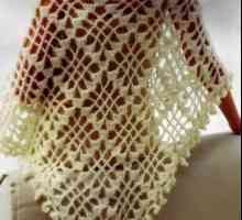 Отворен шал за плетене на една кука: диаграма и описание за начинаещи