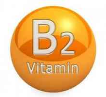B2 витамин, в който се съдържат храни? Какъв е дневният й курс?