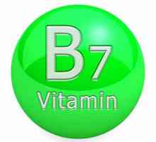 B7 (Витамин): полезни свойства, които съдържат и характеристики на приложението