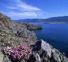 Байкал - най-дълбокото езеро на Земята и най-чистите
