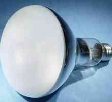 Бактерицидни лампи за дома - обещание за чистота и здраве