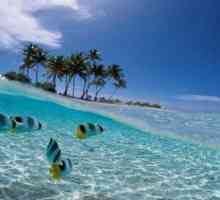 Бали през септември - "рай" за туристите