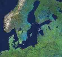 Балтийски щит: релефна форма, тектонска структура и минерали