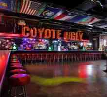 Bar `Ugly Coyote`: за институцията, функции, рецензии