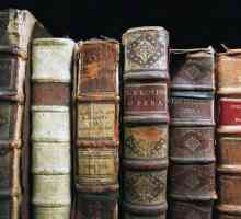 Барокова литература - какво е това? Стилистични особености на бароковата литература. Барокова…