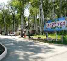 Ваканционно селище "Birch" (Uvildy, регион Челябинск) - снимки и коментари