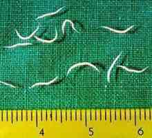 Бели червеи в изпражненията. Pinworms при деца: симптоми и лечение