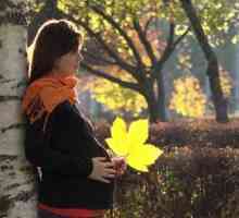 Бременна фотосесия за природата през есента: идеи