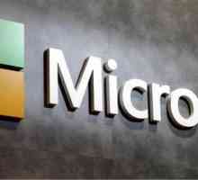 Безжични мишки на Microsoft: общ преглед, изгледи, функции и отзиви
