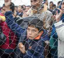 Бежанците в Европа. Как да получи статут на бежанец?