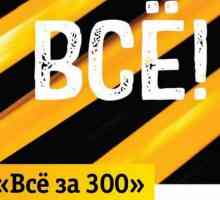 Beeline, тарифата "Всички за 300": рецензии, описание, връзка
