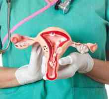 Биманално изследване в гинекологията: индикации, особености на процедурата