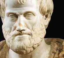 Биография на Аристотел: накратко за древногръцкия философ