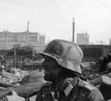 Битката за Сталинград е част от недовършен план?