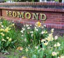 Blender `Redmond`: отзиви. Спецификации, цени, снимки