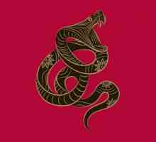 Близнаци-змия: човек. Неговият характер и съвместимостта в отношенията