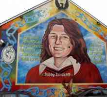 Боби Сандс, инициатор на ирландската гладна стачка от 1981: биография