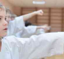 Бойни изкуства на Айкидо: за деца (рецензии). Какво е най-добро за дете - карате или айкидо?