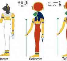 Богинята Тефну: история, описание и интересни факти