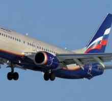 Boeing 737-800 от Aeroflot: оформление на кабината, най-добрите и най-лошите места