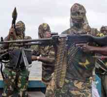Боко Харам е радикална нигерийска ислямистка организация. Масово изгаряне на деца от ислямисти в…