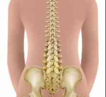 Страничните извивки на гръбнака се наричат ​​... Причини за кривината на гръбначния стълб