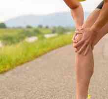 Болка под коляното: причини, диагноза и лечение