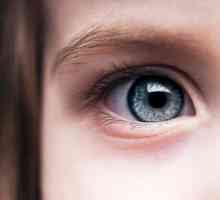 Болести на очите при хората: симптоми и лечение