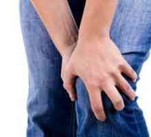 Болка в коленете: лечение вкъщи. Народни средства за лечение на колянни стави