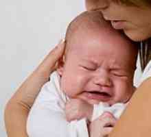 Дали болки в корема или Колко често може да дадете на Ескуизан новородено