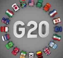 `Big Twenty `: историята и целите на организацията. Кои страни са включени в Г-20?