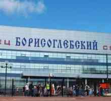 `Борисоглевски `- Дворец на спорта в Раменско: описание, снимка