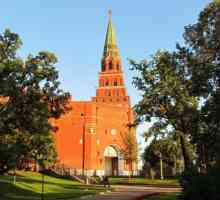 Боровишка кула на Московския Кремъл: история. Как да стигнете до кулата?