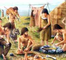 Ботайската култура е археологическата култура на енеолита. Доминикация на кон