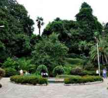 Ботаническата градина на Батуми. Зеленият Кейп
