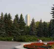 Ботаническата градина (Екатеринбург) представлява богата колекция от растения.