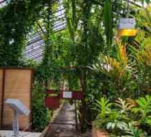 Ботаническа градина, Иркутск: градинарство и контактна зоологическа градина