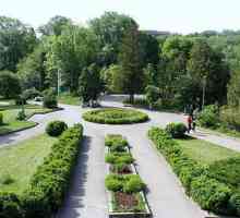 Ботаническата градина на SFU: как да се получи, рецензии