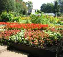 Ботаническата градина на Киров - по-добро място за уединение с природата