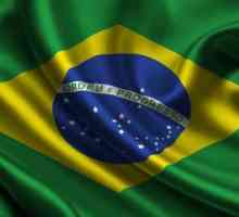 Бразилско знаме: общо описание, символизъм и история на външния вид