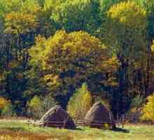 "Брянска гора" е биосферен резерват под егидата на ЮНЕСКО