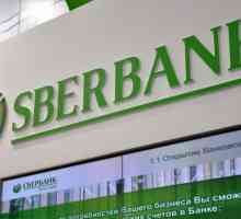 Брокерска услуга на Sberbank: функции на услугата